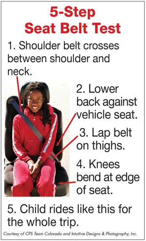 5-step seat belt fit test