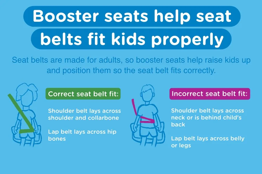 5-step seat belt fit test