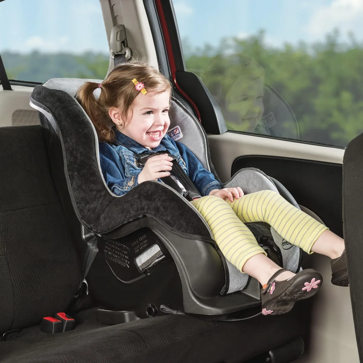 car seat 1 inch shell rule