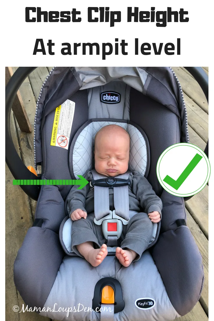 harness strap position