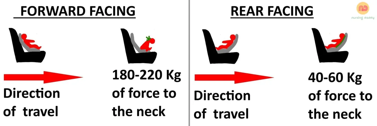 rear-facing crash protection spine